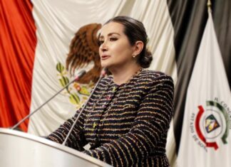 DETONAR PIROTECNIA, SE DEBE CONSIDERAR COMO CRUELDAD ANIMAL: ELY SALLARD