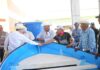 Entrega gobernador Alfonso Durazo 25 embarcaciones a pescadores de Bahía de Lobos