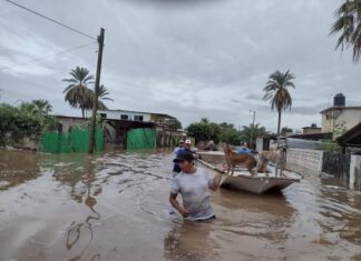 Implementa Protección Civil Sonora intenso operativo de rescate en comunidades rurales de Guaymas y Empalme