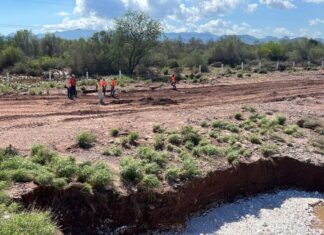 Avanzan trabajos de reparación de puentes colapsados en Guaymas-Empalme: gobernador Alfonso Durazo