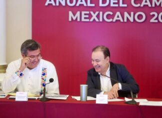 Trabajaremos en una solución multianual para la certificación del camarón mexicano: gobernador Alfonso Durazo