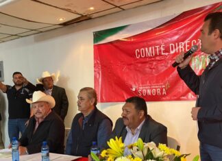 Más trabajo y menos discursos para recobrar confianza ciudadana al PRI: Rogelio Díaz Brown