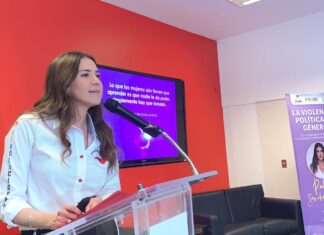 Denuncia diputada priista Paloma Sánchez que 10 millones de mexicanas sufren ciberacoso