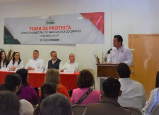 El priismo se convierte en la fuerza opositora más importante de la región: Rogelio Díaz Brown