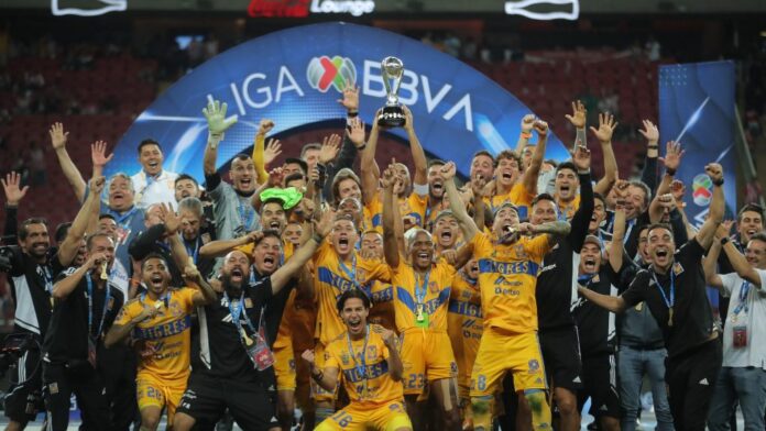 tigres campeon