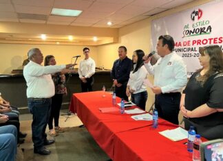 Volverá PRI a ser opción de gobierno: Rogelio Díaz Brown