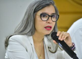 Apoyar a los grupos vulnerables y con buenos resultados es lo que hace la SEDESSON: Wendy Briceño