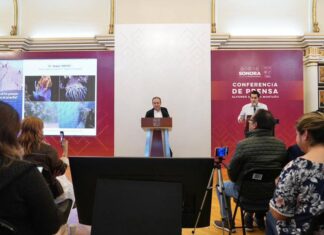 Sistema Arrecifal Artificial Sonorense será hábitat de flora y fauna marina