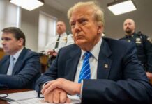 “Hemos aprendido mucho”: Trump tras victorias demócratas en elecciones locales