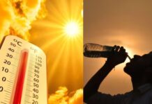 Hermosillo rompe récord de temperatura con 49.5° C para un 12 de junio: Conagua
