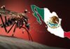 La ‘invasión’ del dengue: Advierten que afectará a 8 de cada 10 mexicanos