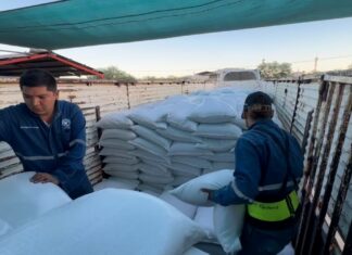 Atiende Gobierno de Sonora a productores ganaderos del Sur de Sonora