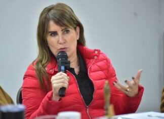 Impulsar la renovación y la unidad del PRI Sonora: Lupita Soto Holguín