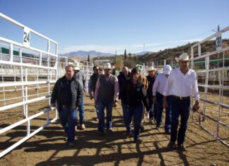 Gobierno de Sonora listo para recibir inspección de EU y reanudar exportación de ganado