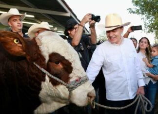 Gobernador Durazo reactiva exportación de ganado sonorense con cruce de más de 3 mil cabezas a Estados Unidos