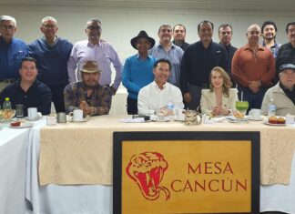 Compromiso social y político en Nogales: Diputada Marcela Valenzuela