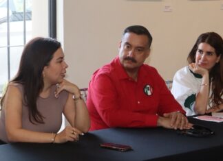 Esta es la oportunidad de renovar al PRI, con más cercanía y una nueva dinámica: Lupita Soto