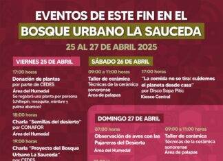 Gobierno de Sonora invita a un fin de semana con actividades gratuitas en el Bosque Urbano La Sauceda