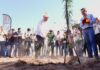 Gobernador Durazo proyecta legado ambiental con plantación de más de 4 mil árboles en La Sauceda