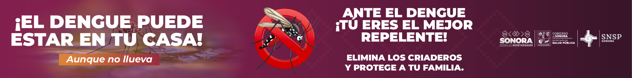 BANNERS CAMPAÑA DENGUE MAYO 2025_728x90