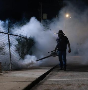 Salud Sonora fumiga más de 154 mil hectáreas contra el dengue en 283 localidades