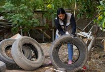 Llama Secretaría de Salud a reforzar prevención contra el dengue ante llegada de clima frío
