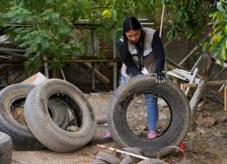 Llama Secretaría de Salud a reforzar prevención contra el dengue ante llegada de clima frío
