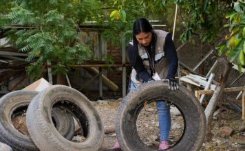 Llama Secretaría de Salud a reforzar prevención contra el dengue ante llegada de clima frío