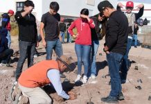 Crea Universidad de la Sierra el primer bosque con técnica Miyawaki