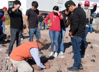 Crea Universidad de la Sierra el primer bosque con técnica Miyawaki