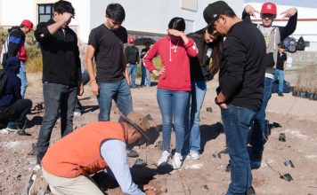 Crea Universidad de la Sierra el primer bosque con técnica Miyawaki