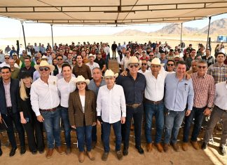 Durazo arranca cosecha de espárrago y consolida liderazgo agroexportador de Sonora