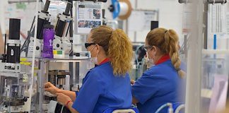 Hermosillo lidera generación de empleo entre capitales del país de acuerdo al IMSS