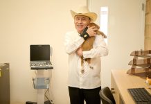 Inaugura Gobernador Durazo primera Clínica de Bienestar Animal gratuita en Sonora