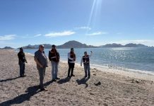 Gobierno de Sonora verifica calidad sanitaria en playas de San Carlos conforme a norma federal