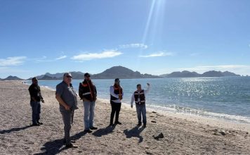 Gobierno de Sonora verifica calidad sanitaria en playas de San Carlos conforme a norma federal