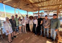 Entrega Omar Del Valle Colosio una tonelada de croquetas a comunidad comca’ac