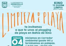 Invita Gobierno de Hermosillo a participar este sábado 4 en Plogging en Bahía de Kino