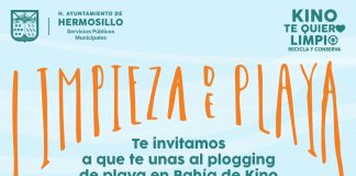 Invita Gobierno de Hermosillo a participar este sábado 4 en Plogging en Bahía de Kino