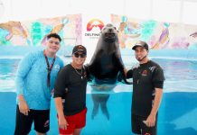 Sonora se llena de vida en Semana Santa; visitantes disfrutan el Centro Ecológico, El Cochórit y San Carlos