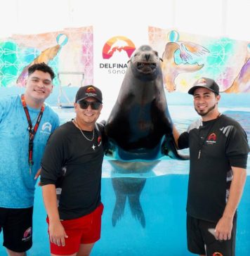 Sonora se llena de vida en Semana Santa; visitantes disfrutan el Centro Ecológico, El Cochórit y San Carlos