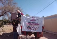 Navojoa retira 477 toneladas de cacharros para combatir el dengue