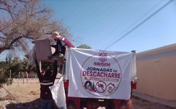 Navojoa retira 477 toneladas de cacharros para combatir el dengue