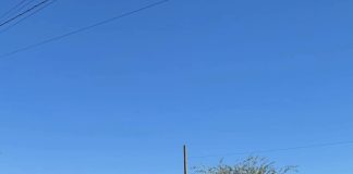Recolecta Gobierno de Hermosillo más de 5 mil 130 llantas con el programa Llantatón por tu Salud