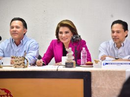 Dejará Lorenia Valles su cargo en el Senado el 22 de junio para buscar la gubernatura