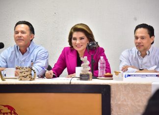 Dejará Lorenia Valles su cargo en el Senado el 22 de junio para buscar la gubernatura