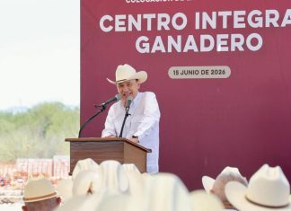 Respiro para ganadería: arranca Durazo obra estratégica para industrialización de la carne sonorense