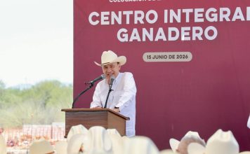 Respiro para ganadería: arranca Durazo obra estratégica para industrialización de la carne sonorense