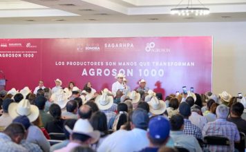Durazo refuerza apoyo al campo con más de 144 millones en créditos y anuncia que duplicará recurso a productores