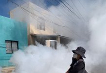 Salud Sonora fortalece la prevención y control del dengue